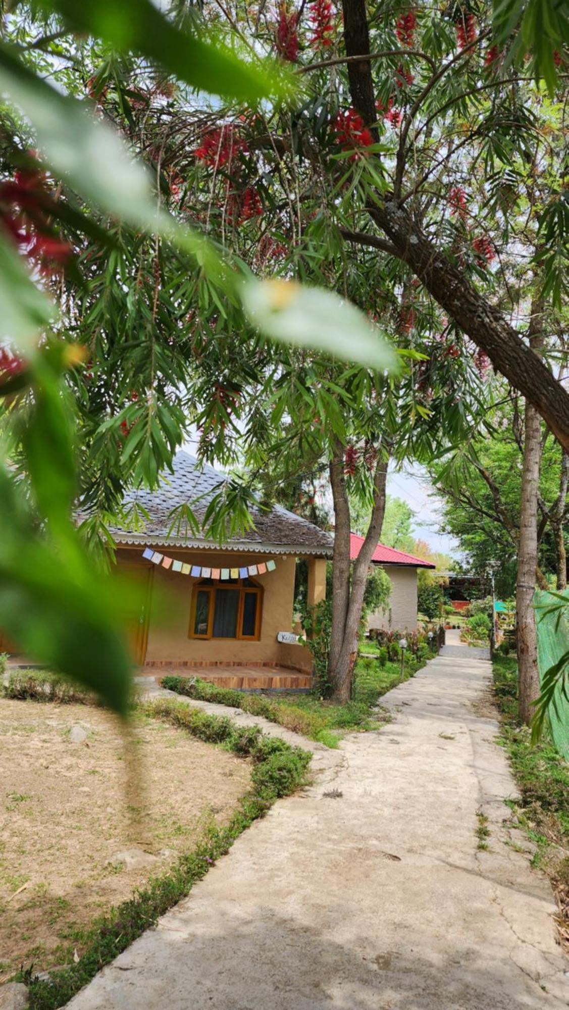 Namlang Resort Bīr Eksteriør billede