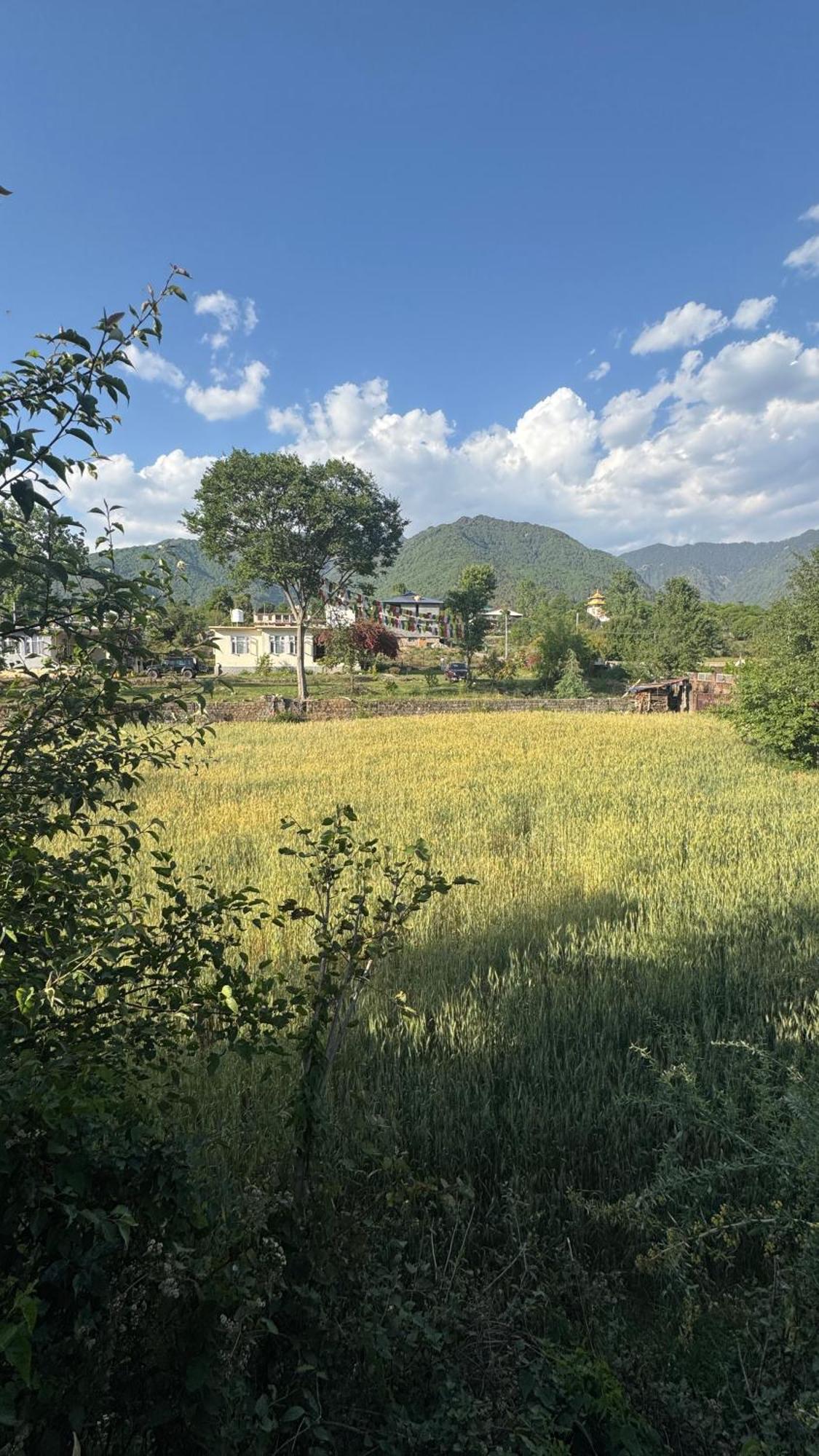 Namlang Resort Bīr Eksteriør billede